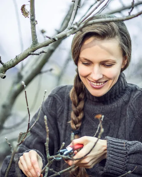 Suburban Self Sufficiency: a woman pruning a fruit tree in her garden
